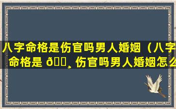 八字命格是伤官吗男人婚姻（八字命格是 🕸 伤官吗男人婚姻怎么样）